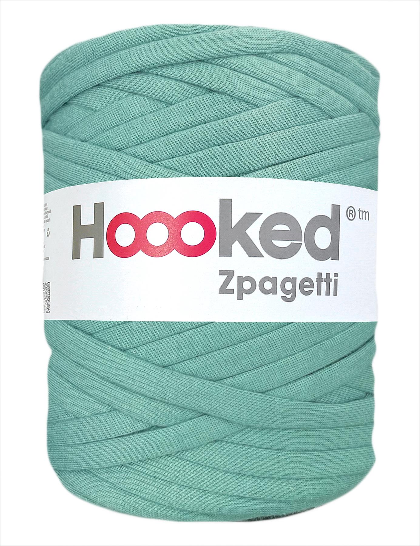 Muted teal green t-shirt yarn by Hoooked Zpagetti (100-120m)