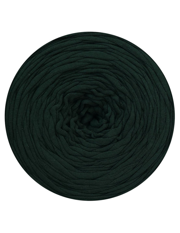 Dark green skein of yarn on a white background
