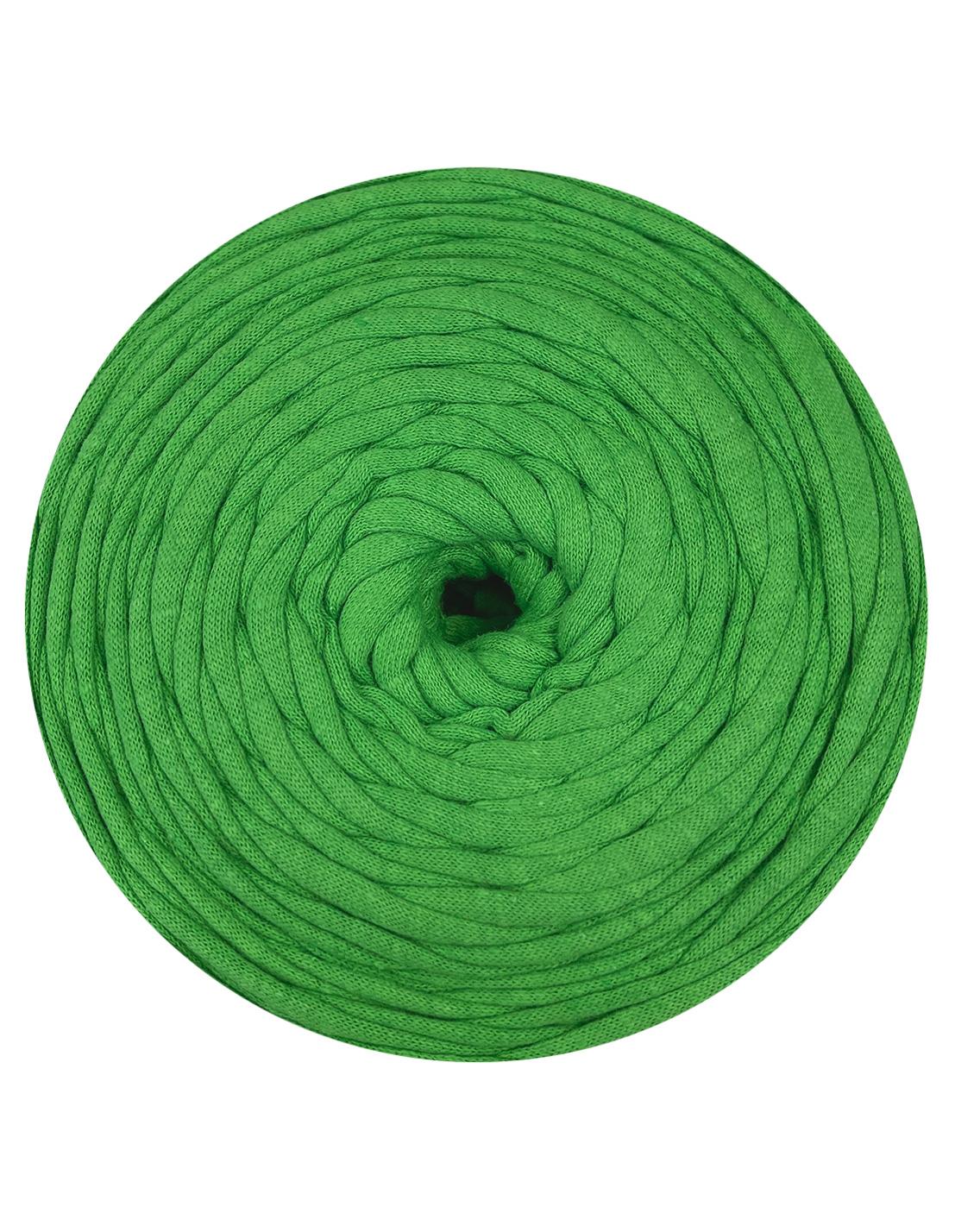 Parakeet green t-shirt yarn by Hoooked Zpagetti (100-120m)