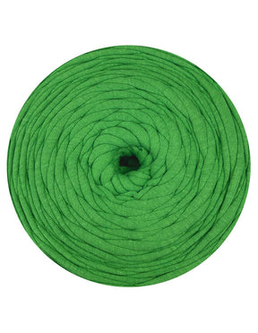 Parakeet green t-shirt yarn by Hoooked Zpagetti (100-120m)