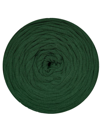 Light pine green t-shirt yarn (100-120m)