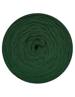 Light pine green t-shirt yarn (100-120m)
