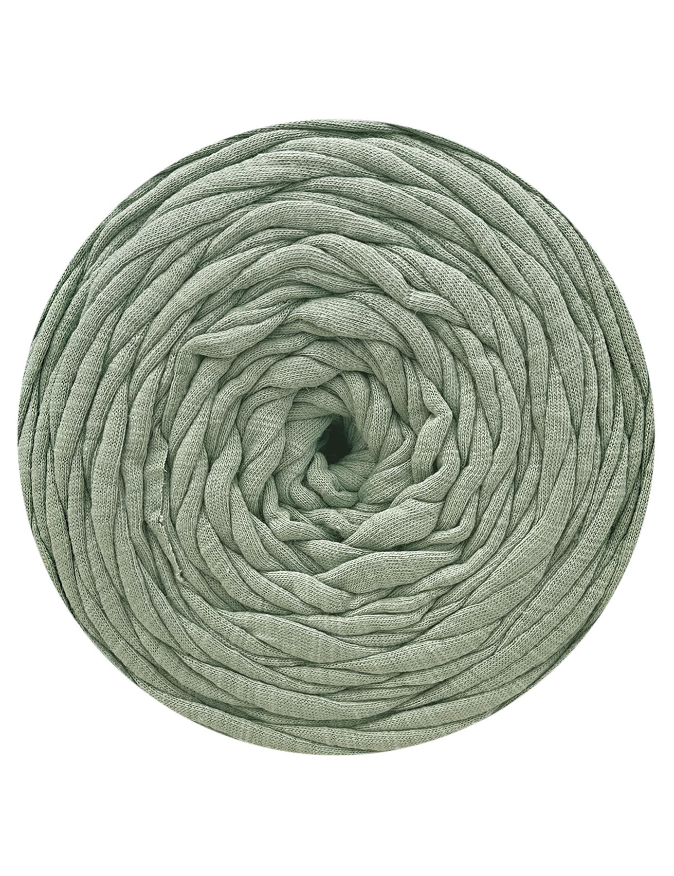 Pale sage green t-shirt yarn (100-120m)