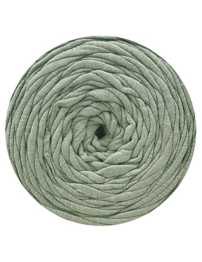 Pale sage green t-shirt yarn (100-120m)