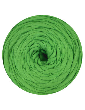 Muted lime green t-shirt yarn (100-120m)