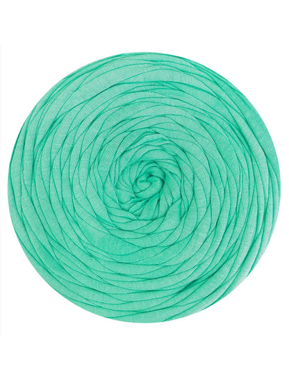 Seafoam green t-shirt yarn (100-120m)