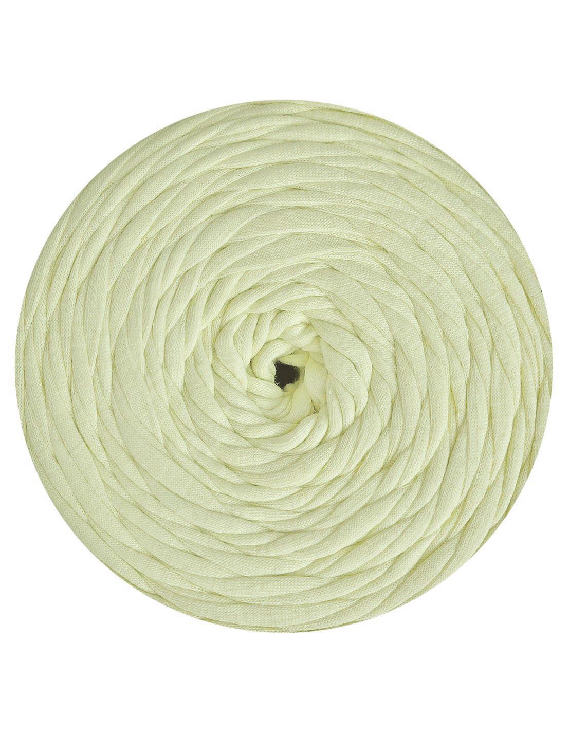 Pale green t-shirt yarn by Hoooked Zpagetti (100-120m)