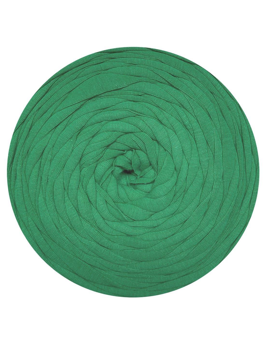 Muted green t-shirt yarn (100-120m)
