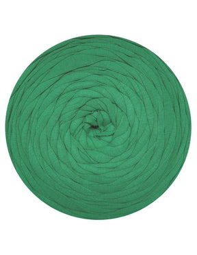 Muted green t-shirt yarn (100-120m)