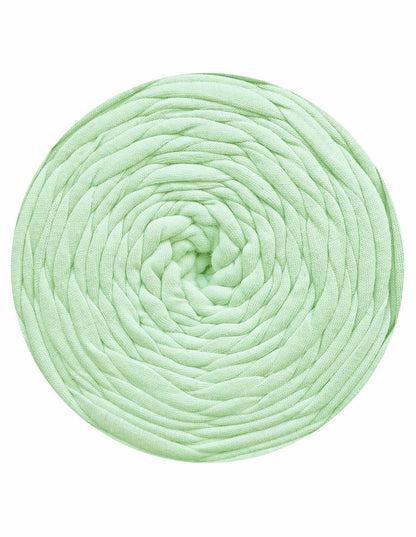 Light sage green t-shirt yarn (100-120m)