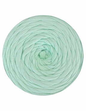 Light mint t-shirt yarn by Hoooked Zpagetti (100-120m)