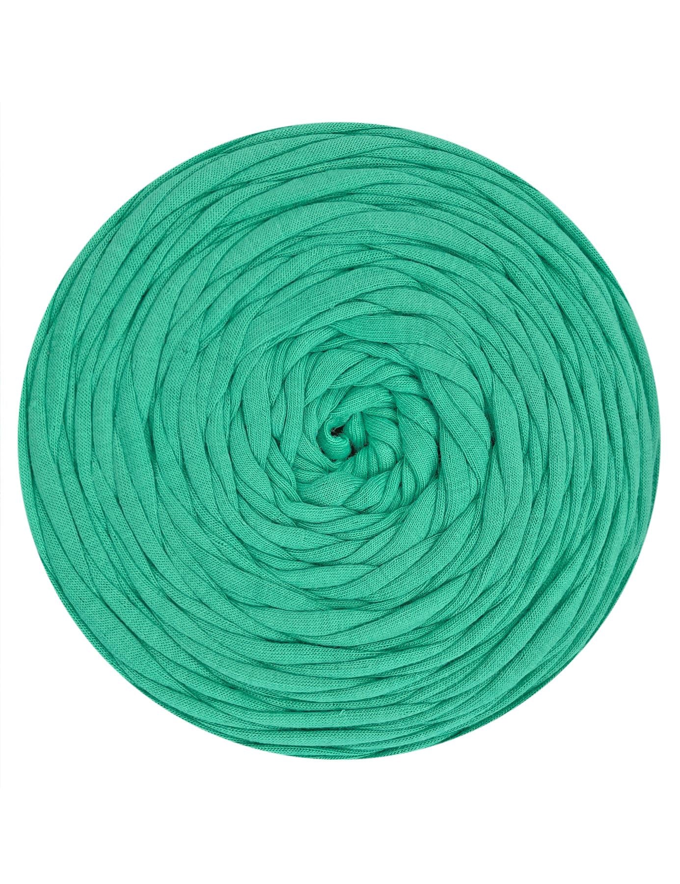 Muted seafoam green t-shirt yarn (100-120m)