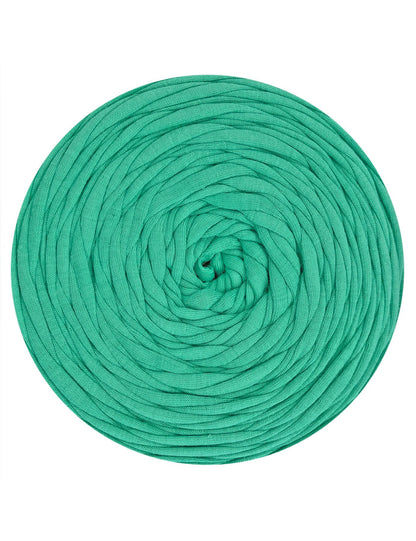 Muted seafoam green t-shirt yarn (100-120m)