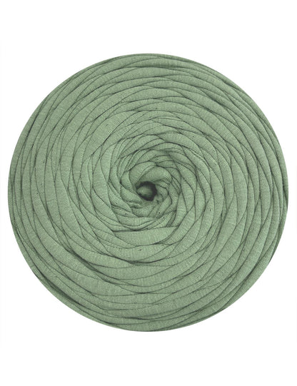 Mantis green t-shirt yarn (100-120m)