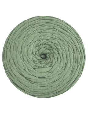 Mantis green t-shirt yarn (100-120m)