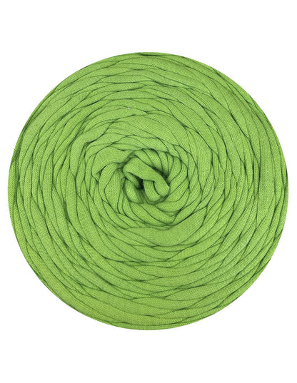 Light green t-shirt yarn by Hoooked Zpagetti (100-120m)