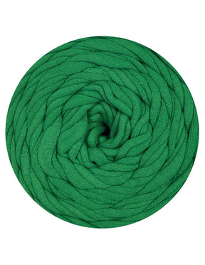 Muted pear green t-shirt yarn (100-120m)