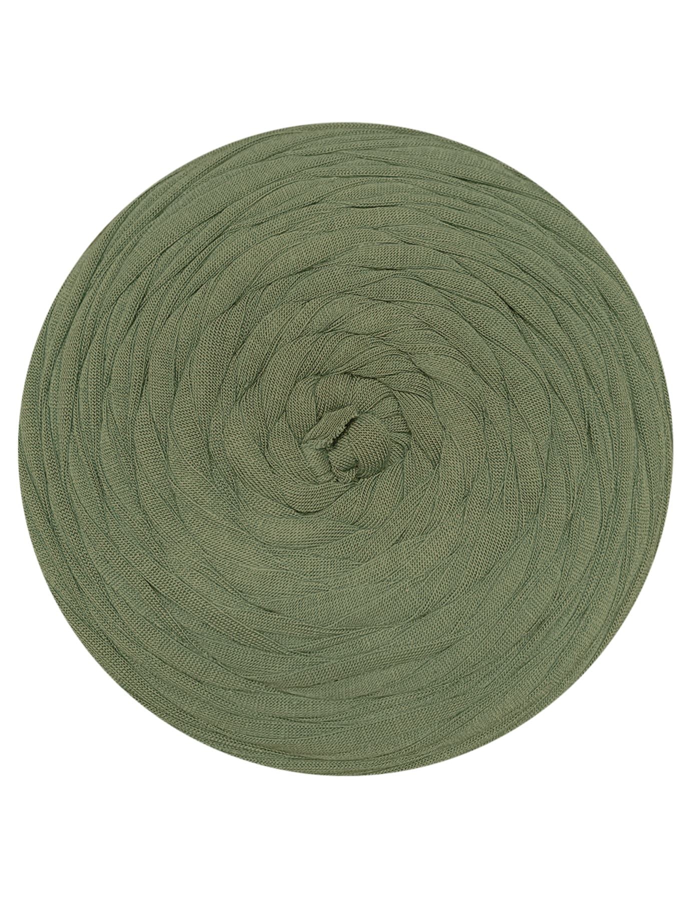 Muted sage green t-shirt yarn (100-120m)