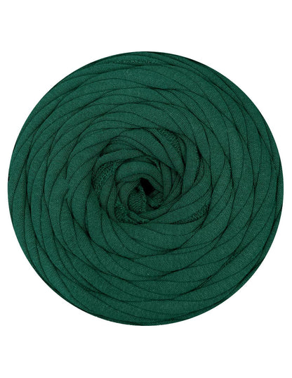 Castleton green t-shirt yarn (100-120m)