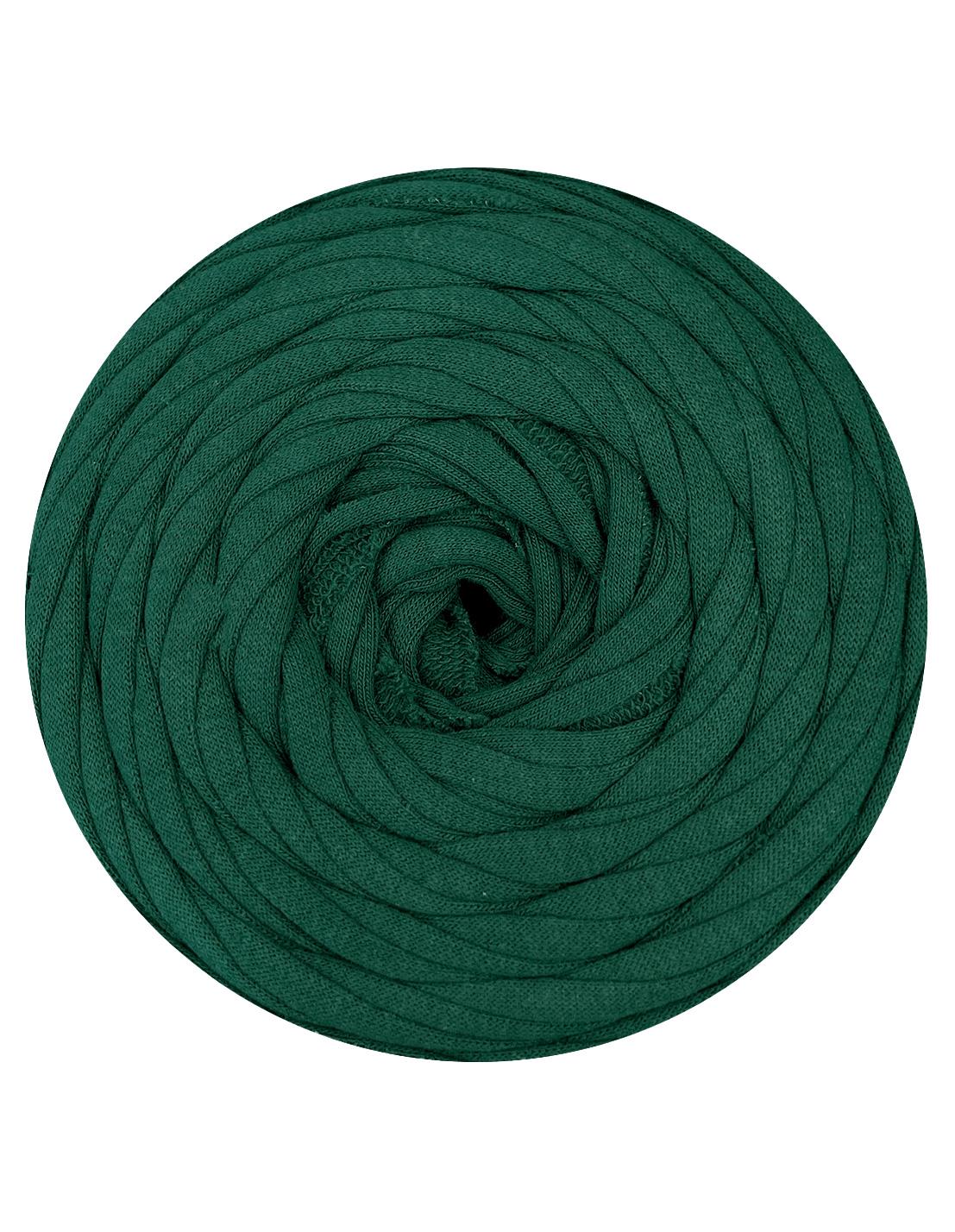 Castleton green t-shirt yarn (100-120m)